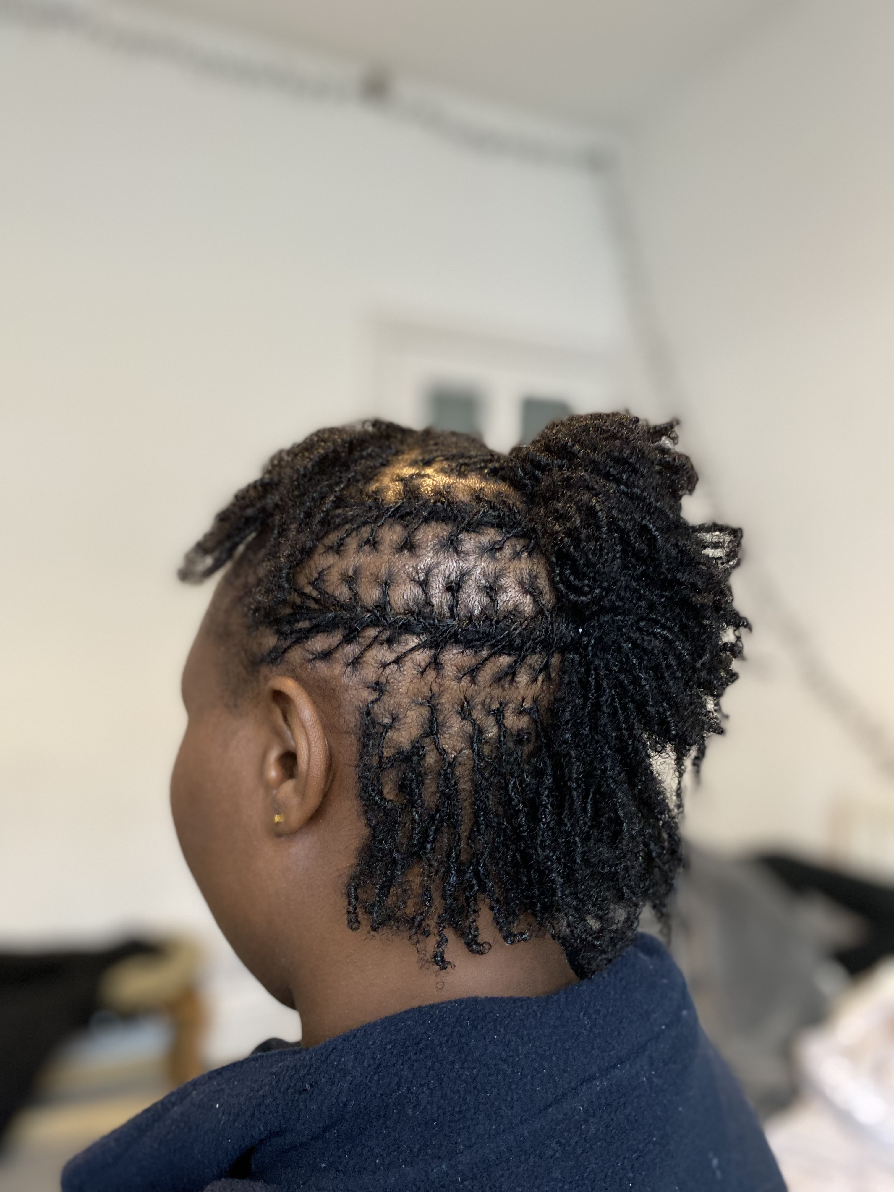 Locs Styling 1